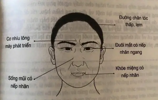 Tướng Đàn Ông Không Nên Lấy Làm Chồng