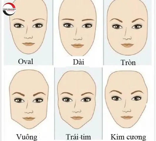 Tướng Đàn Ông Mặt Dài Cằm Nhọn
