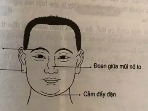 Tướng Đàn Ông Mặt Thịt