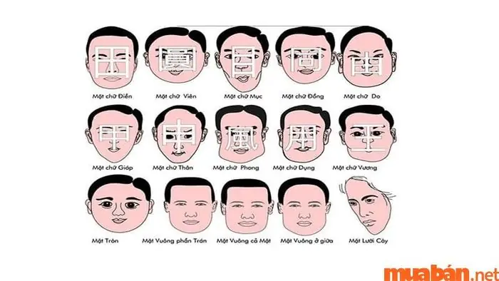 Tướng Đàn Ông Mặt Thịt