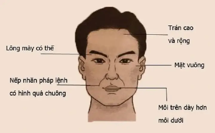 Tướng Đàn Ông Thâm Độc