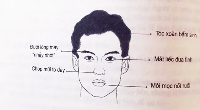 Tướng Đàn Ông Trăng Hoa