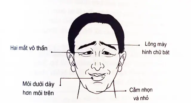Tướng Đàn Ông Trăng Hoa