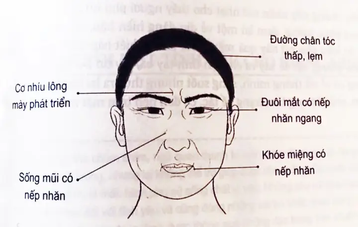 Tướng Đàn Ông Trăng Hoa