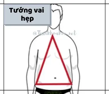 Tướng Đàn Ông Vai Nhỏ