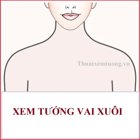 Tướng Đàn Ông Vai Xuôi