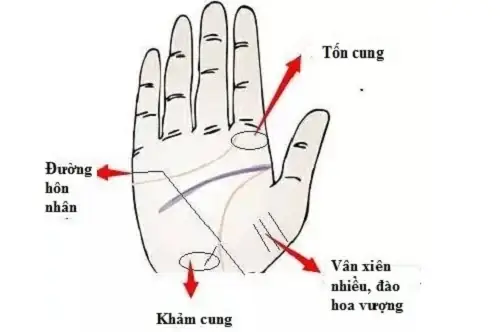 Tướng Đào Hoa Nữ
