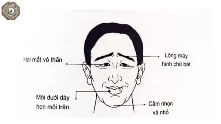 Tướng Đoản Mệnh Là Gì