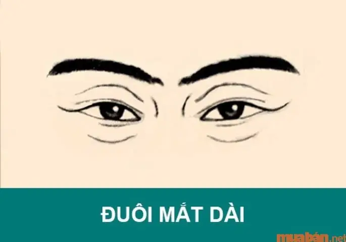 Tướng Đuôi Mắt