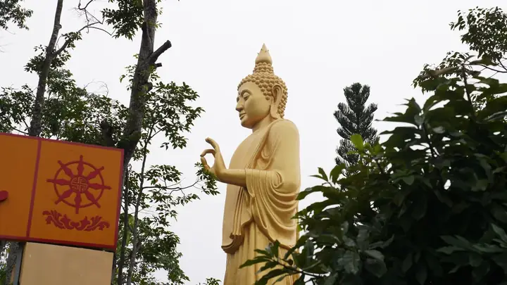 Tướng Gáy Lõm Tướng Gáy Lõm