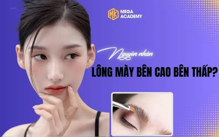 Tướng Lông Mày Bên Cao Bên Thấp