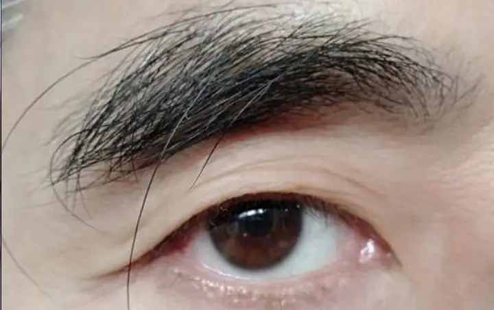 Tướng Lông Mày Dài