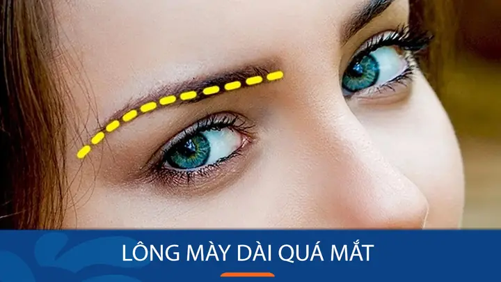 Tướng Lông Mày Dài Quá Mắt