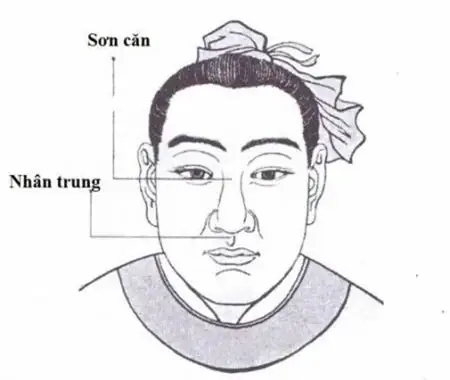 Tướng Lông Mày Đàn Ông Vũ Phu