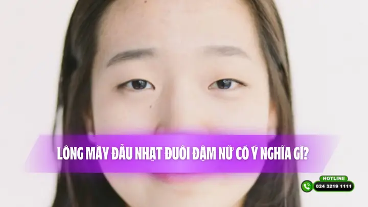 Tướng Lông Mày Đầu Nhạt Đuôi Đậm