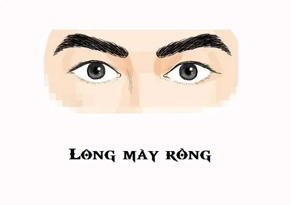 Tướng Lông Mày Nam Phú Quý