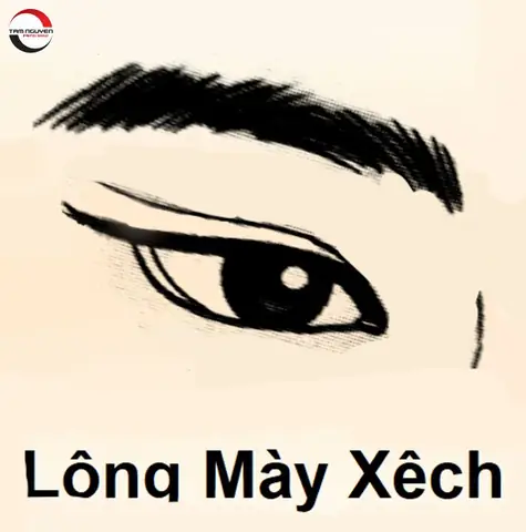 Tướng Lông Mày Nam Vểnh Lên
