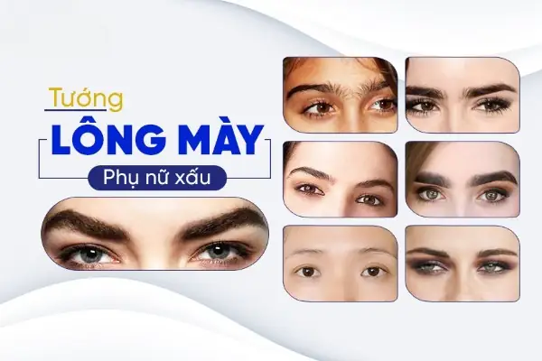 Tướng Lông Mày Phụ Nữ Xấu