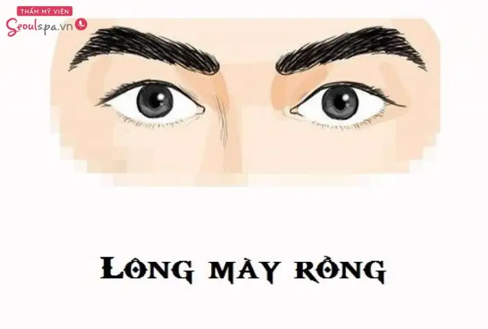 Tướng Lông Mày Rồng Tướng Lông Mày Rồng