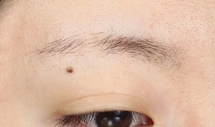 Tướng Lông Mày Thưa Nhạt