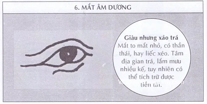Tướng Mắt Âm Dương Nam