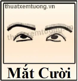 Tướng Mắt Cười Phụ Nữ