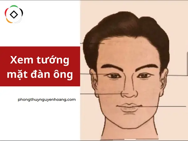 Tướng Mắt Đàn Ông