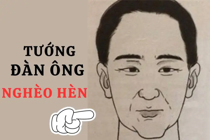 Tướng Mắt Đàn Ông