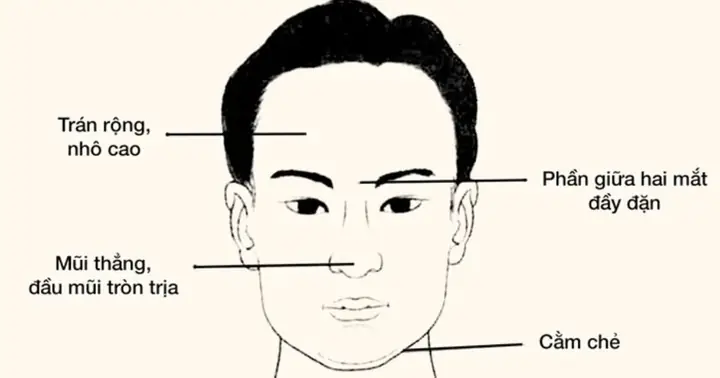 Tướng Mặt Đàn Ông Chung Thủy
