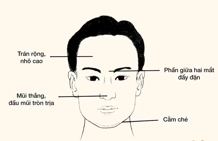 Tướng Mặt Đàn Ông Chung Thủy