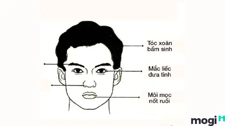 Tướng Mặt Đàn Ông Đểu