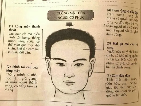 Tướng Mặt Đàn Ông Hiền Lành