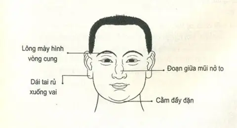 Tướng Mặt Đàn Ông Hiền Lành