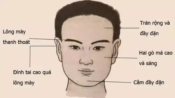 Tướng Mặt Đàn Ông Hiền Lành