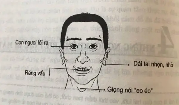 Tướng Mặt Gà Mái
