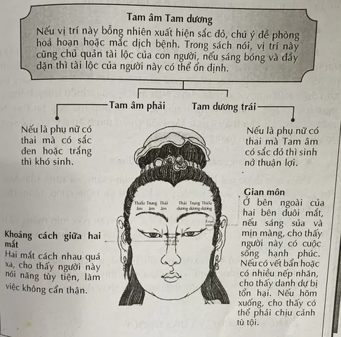 Tướng Mắt Hổ