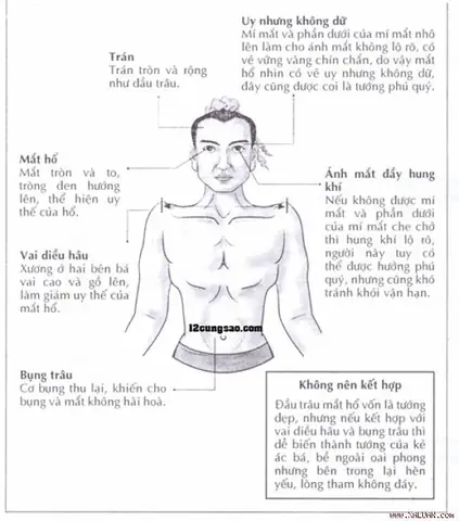 Tướng Mắt Hổ
