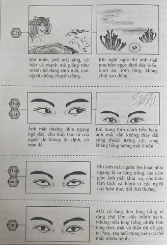 Tướng Mắt Lộ Thần