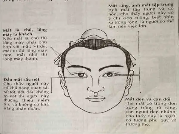 Tướng Mắt Lộ Thần