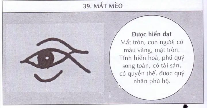 Tướng Mắt Mèo