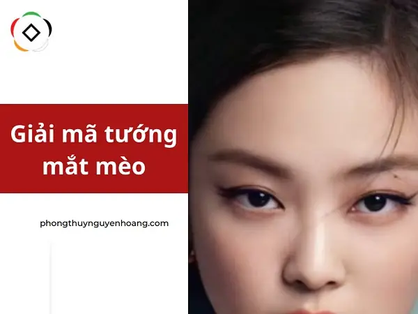 Tướng Mắt Mèo