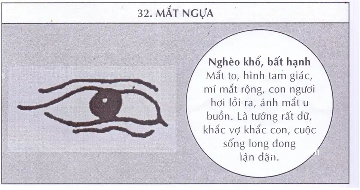 Tướng Mặt Ngựa