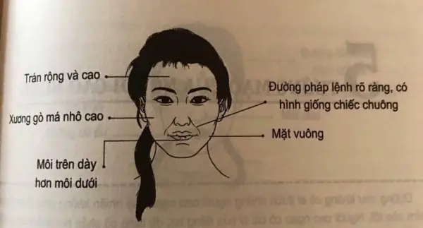 Tướng Mặt Phụ Nữ Tiểu Nhân