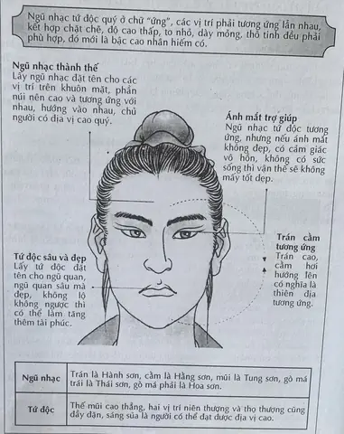 Tướng Mặt To Ngũ Quan Nhỏ Tướng Mặt To Ngũ Quan Nhỏ
