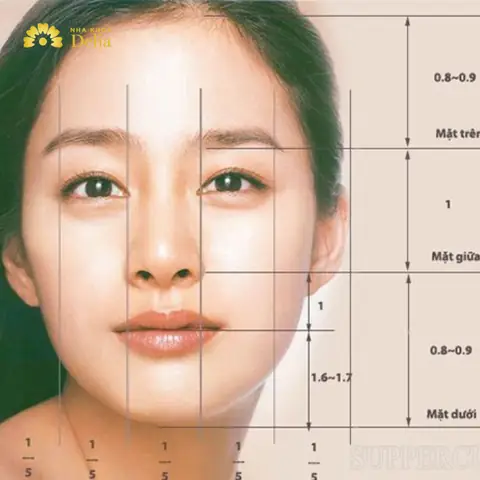 Tướng Mặt To Ngũ Quan Nhỏ Tướng Mặt To Ngũ Quan Nhỏ