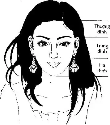 Tướng Mặt To Ngũ Quan Nhỏ Tướng Mặt To Ngũ Quan Nhỏ