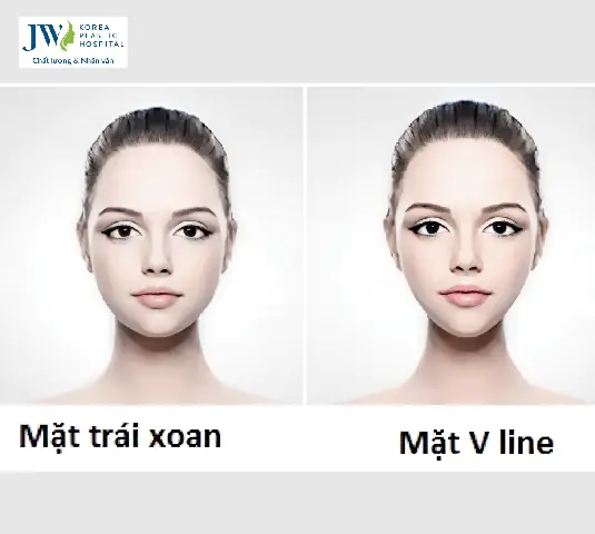 Tướng Mặt Trái Xoan Nữ