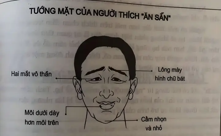 Tướng Mặt Trên Nhỏ Dưới To