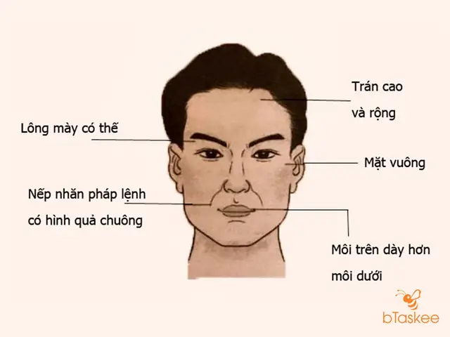 Tướng Mặt Trên Nhỏ Dưới To