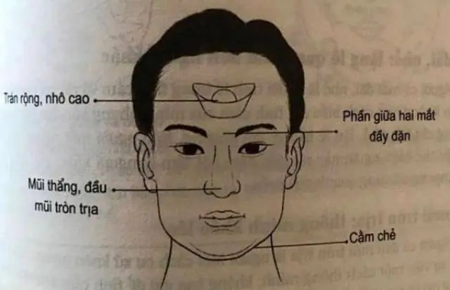 Tướng Mặt Tròn Nam